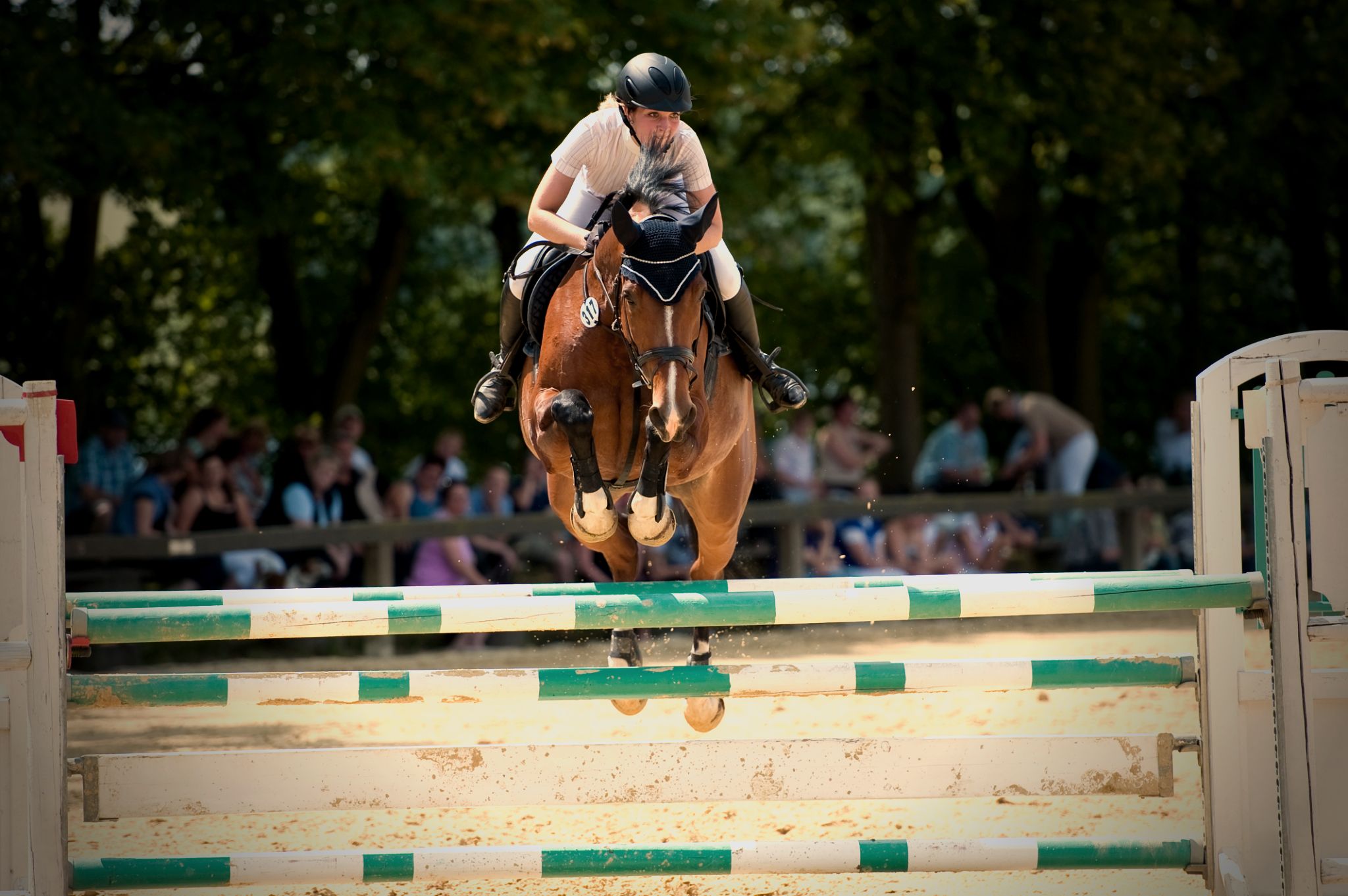 How Plastic Horse Jumps Can Elevate Your Horse’s Abilities?